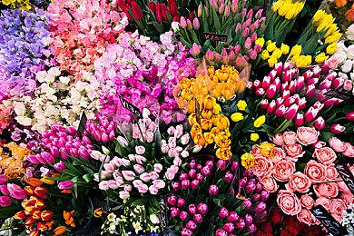 《孤岛惊魂6》雅拉之旅宣传片 如梦境般的“天堂”！